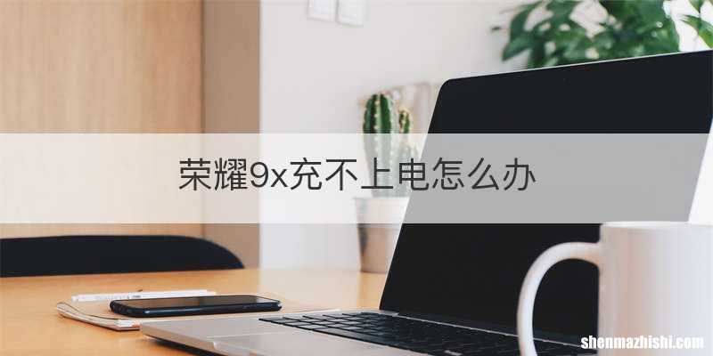 荣耀9x充不上电怎么办