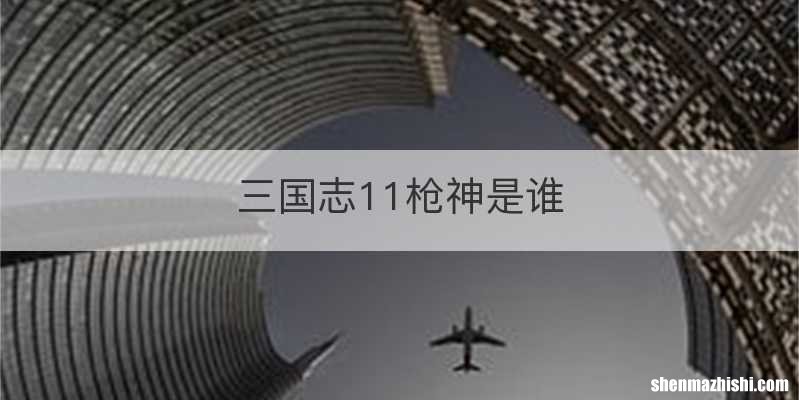 三国志11枪神是谁