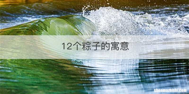 12个粽子的寓意