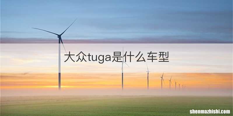 大众tuga是什么车型