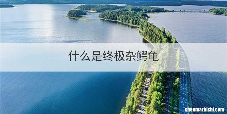 什么是终极杂鳄龟