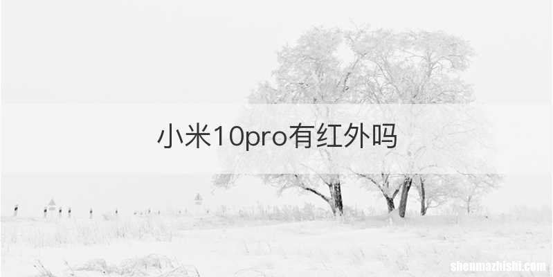 小米10pro有红外吗