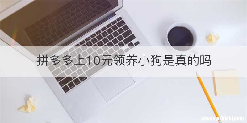 拼多多上10元领养小狗是真的吗