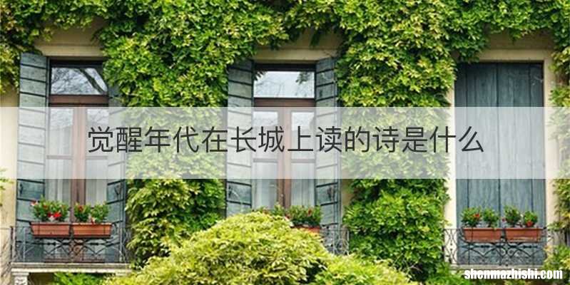 觉醒年代在长城上读的诗是什么