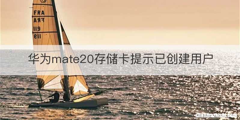 华为mate20存储卡提示已创建用户