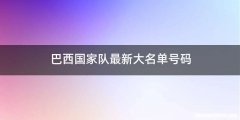 巴西国家队最新大名单号码