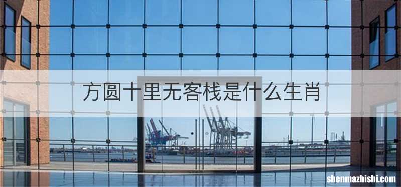 方圆十里无客栈是什么生肖