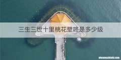 三生三世十里桃花壁咚是多少级