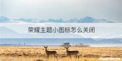 荣耀主题小图标怎么关闭