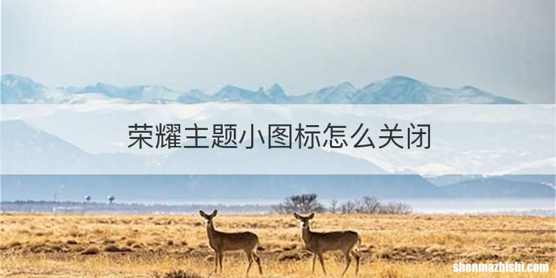 荣耀主题小图标怎么关闭