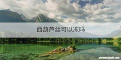 西葫芦丝可以冻吗