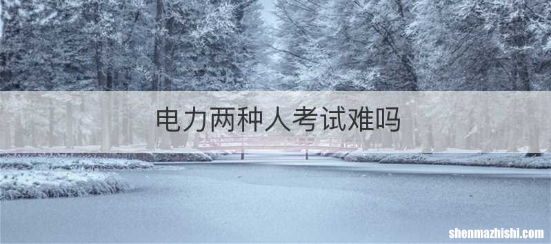 电力两种人考试难吗