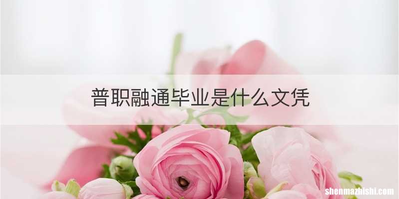 普职融通毕业是什么文凭