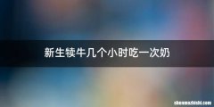 新生犊牛几个小时吃一次奶