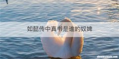 如懿传中真书是谁的奴婢