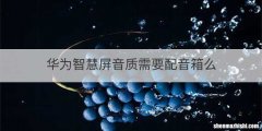 华为智慧屏音质需要配音箱么