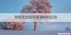 驾校无忧班和普通班的区别