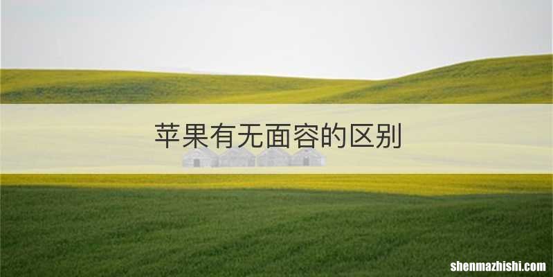 苹果有无面容的区别