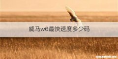 威马w6最快速度多少码