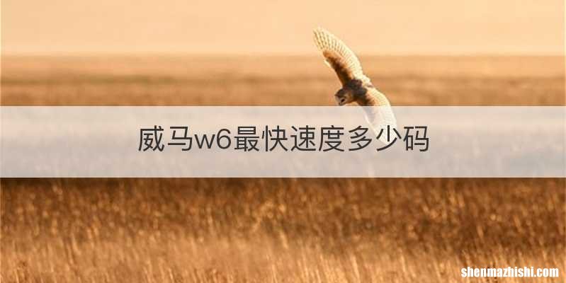 威马w6最快速度多少码