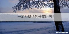 一加8t壁纸的长宽比例