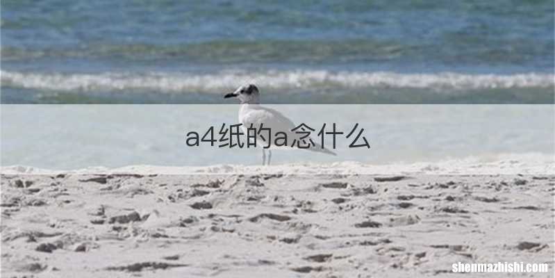a4纸的a念什么