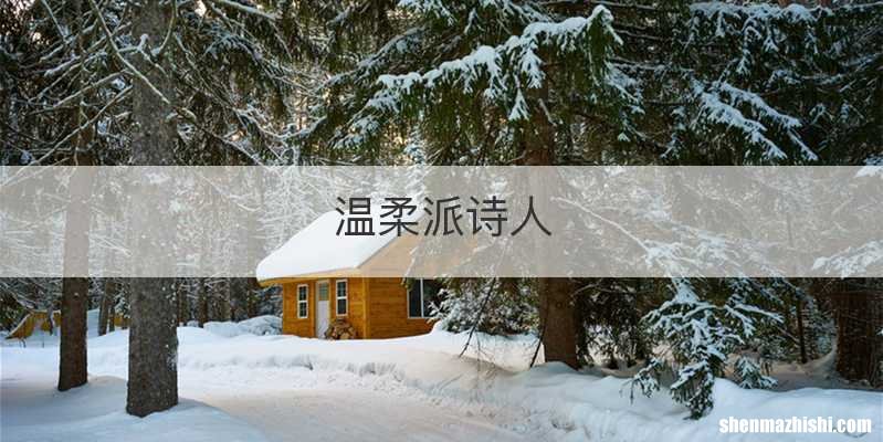 温柔派诗人