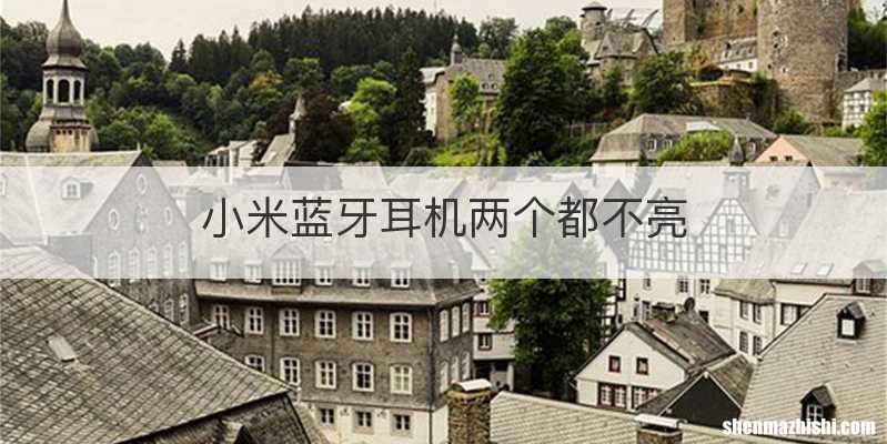 小米蓝牙耳机两个都不亮