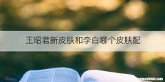 王昭君新皮肤和李白哪个皮肤配