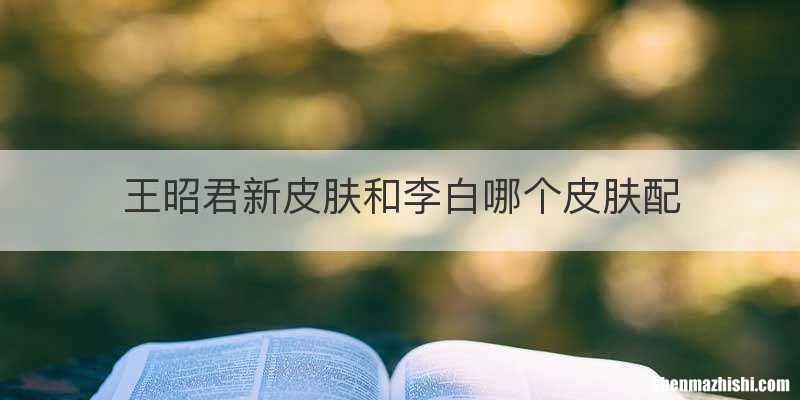 王昭君新皮肤和李白哪个皮肤配