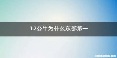 12公牛为什么东部第一