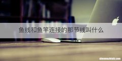 鱼线和鱼竿连接的那节线叫什么