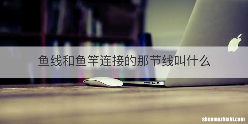 鱼线和鱼竿连接的那节线叫什么