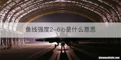 鱼线强度2-6ib是什么意思