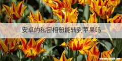 安卓的私密相册能转到苹果吗