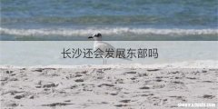 长沙还会发展东部吗