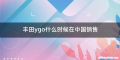丰田ygo什么时候在中国销售