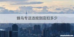 蜂鸟专送违规到店扣多少