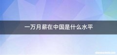一万月薪在中国是什么水平
