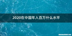 2020在中国年入百万什么水平