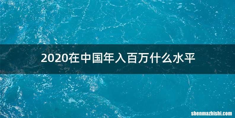 2020在中国年入百万什么水平