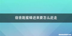 宿舍跑蜜蜂进来要怎么赶走