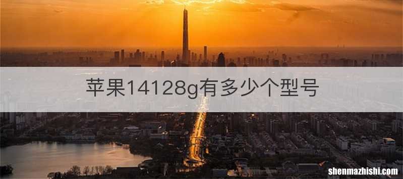 苹果14128g有多少个型号