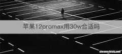苹果12promax用30w合适吗