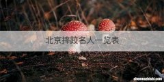 北京摔跤名人一览表