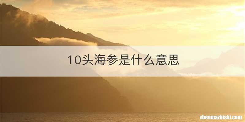 10头海参是什么意思
