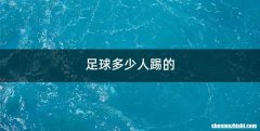 足球多少人踢的