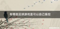 有哪些足球游戏是可以自己操控