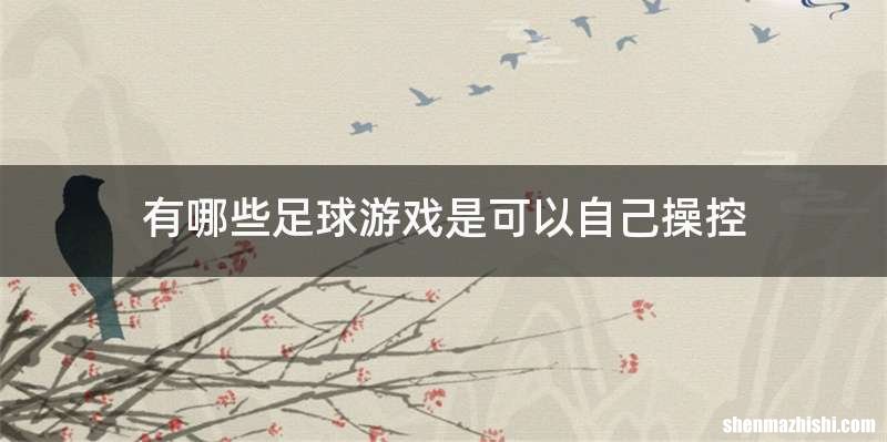 有哪些足球游戏是可以自己操控