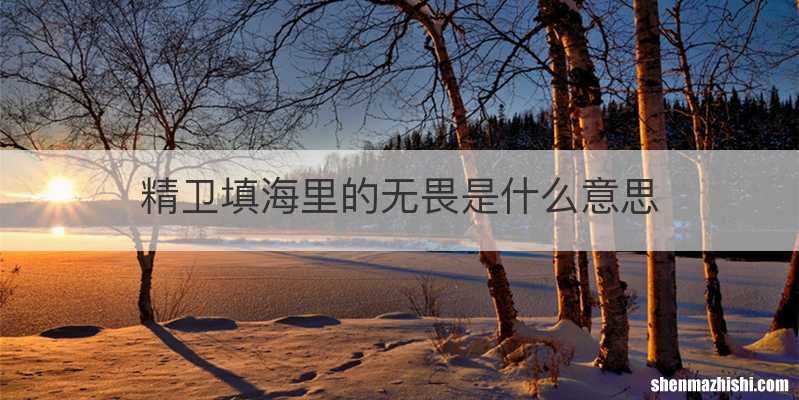 精卫填海里的无畏是什么意思